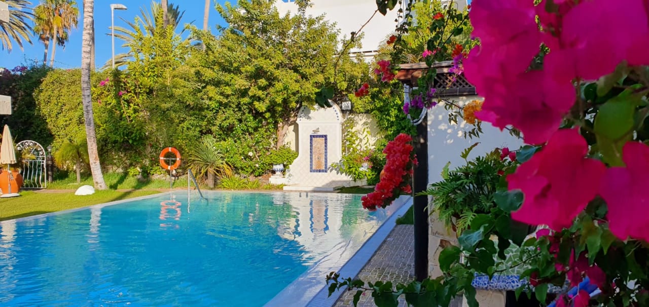 Pool Nogal Appartements - Adults only