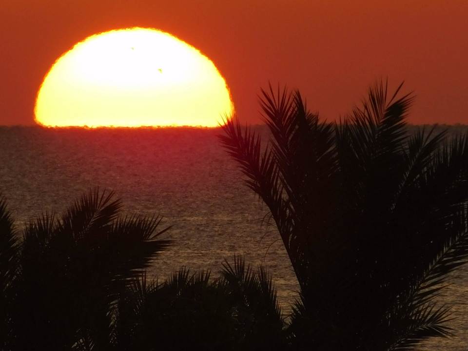 Sonnenaufgang Pickalbatros Palace Resort