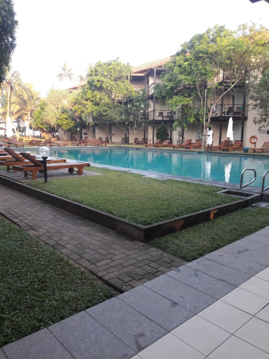 Pool Mermaid Hotel & Club