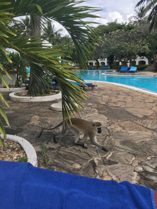 Pool Hotel Southern Palms Beach Resort