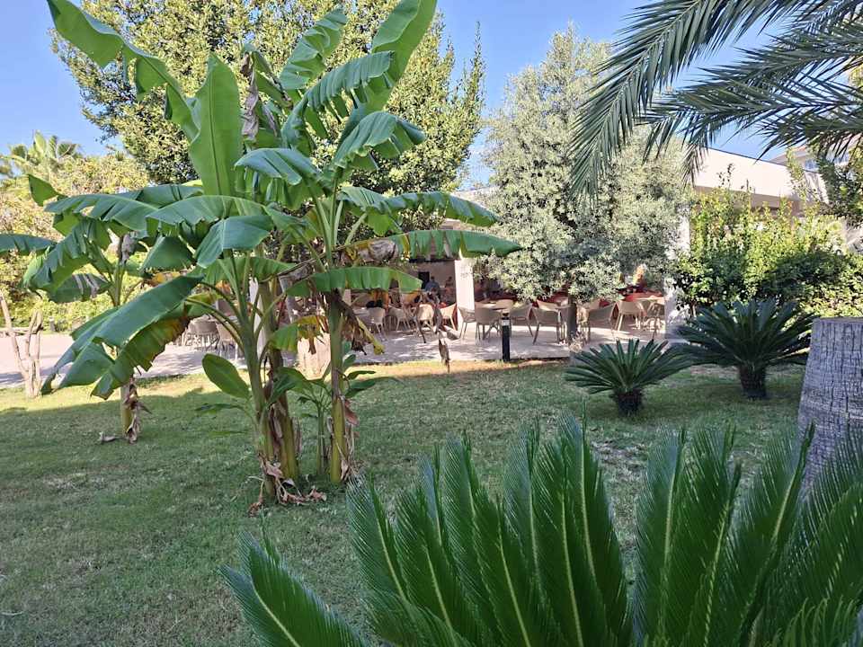 Gartenanlage Seaden Sea World Resort & Spa