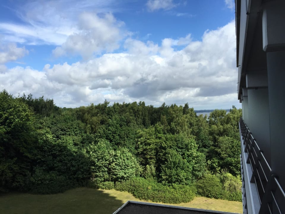 Blick Zimmer Landseite PLAZA Premium Timmendorfer Strand
