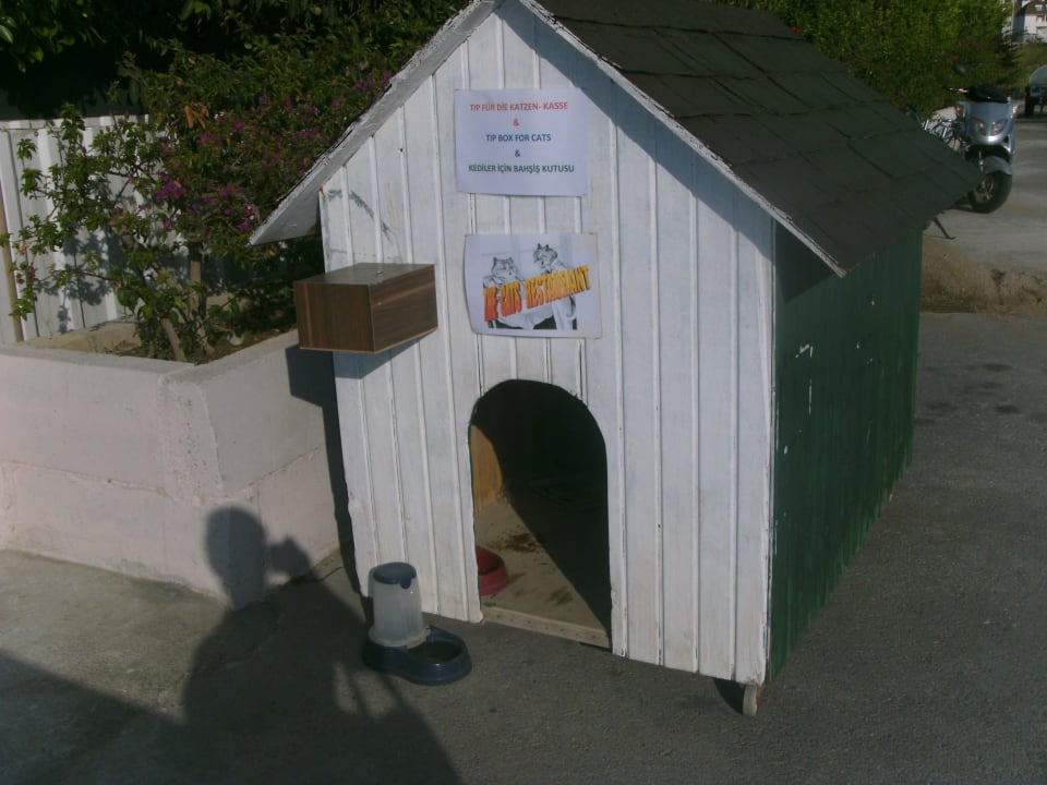 Katzenhaus Hane Family Resort