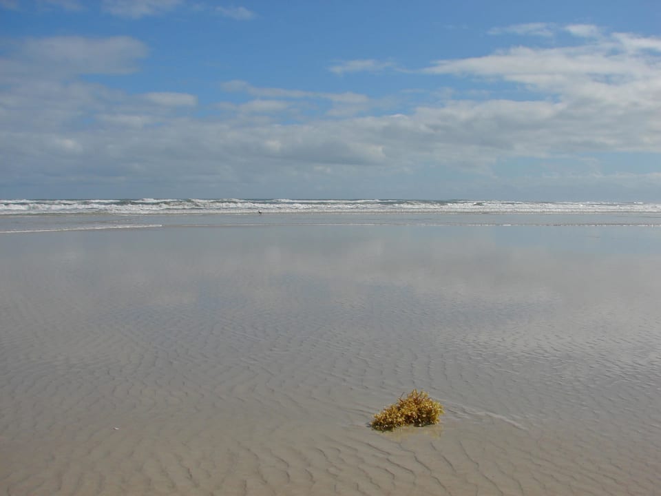 Traumstrand Hotel The Shores Resort & Spa