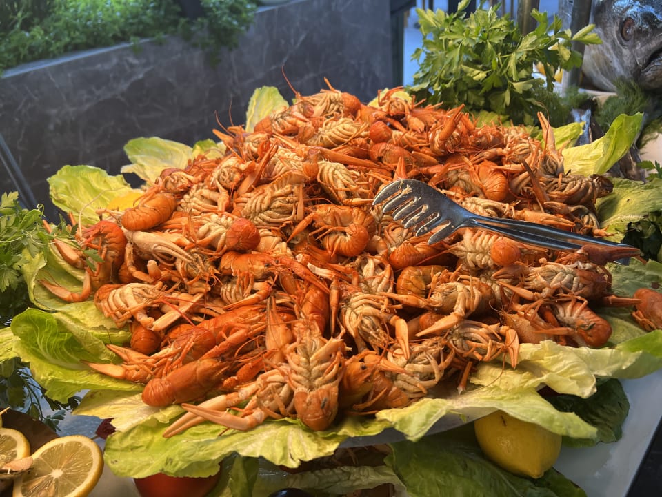 Gastro Monachus Family Resort Sorgun