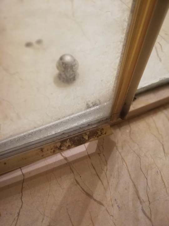 Zimmer Horus Paradise Luxury Resort & Club