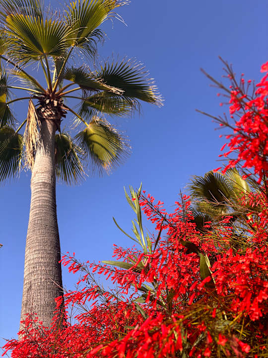 Pool Sentido Trendy Verbena Beach
