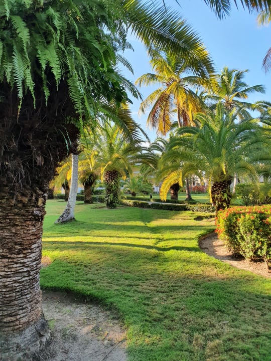 Gartenanlage Grand Palladium Select Bávaro Resort & Spa