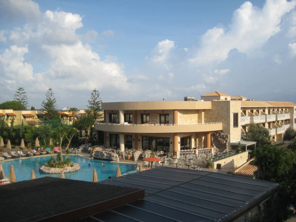 Vom Balkon Cactus Royal