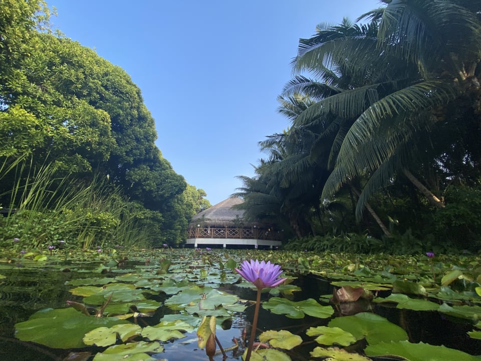 Gartenanlage Dreamland The Unique Sea & Lake Resort / Spa