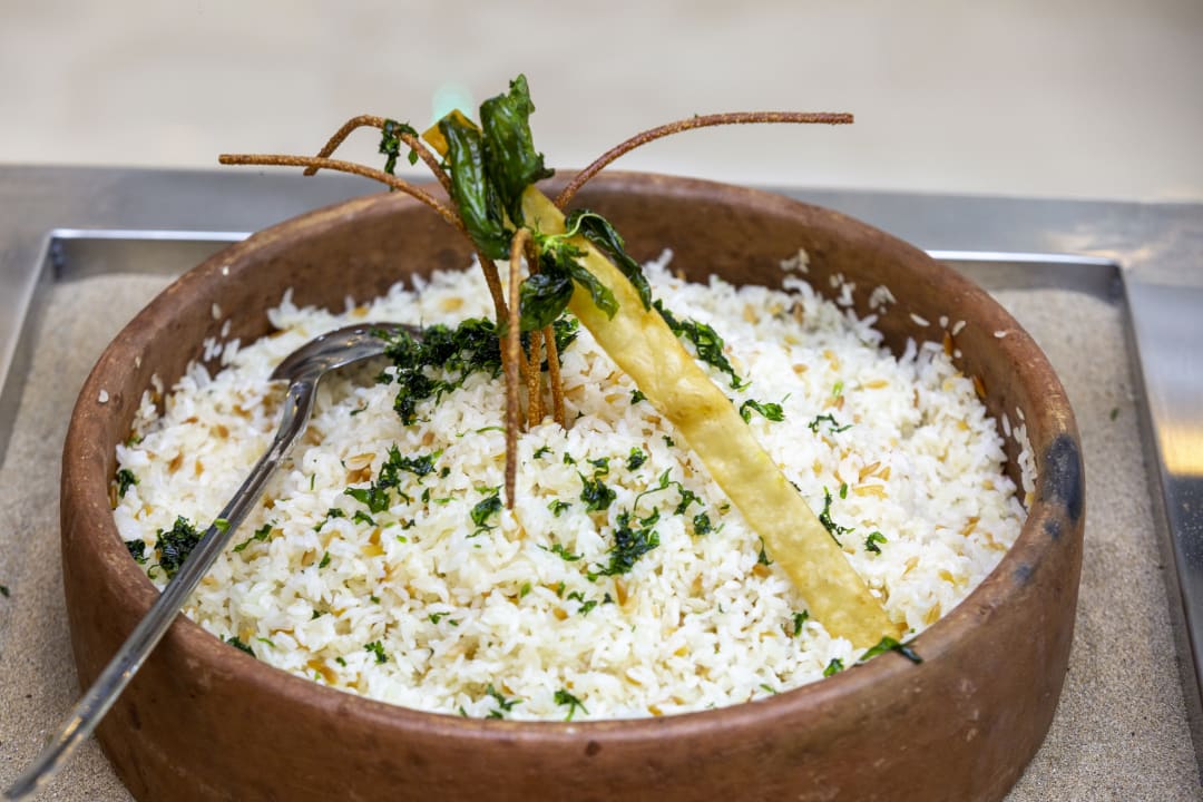 Gastro Lonicera Premium - Ultra All Inclusive