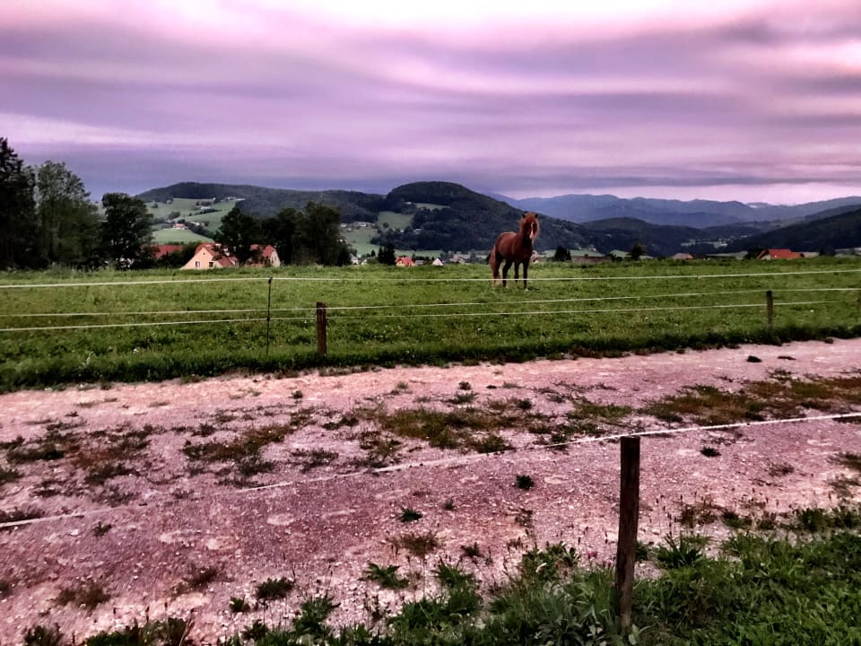 Ausblick Der Trattner - Hotel Trattnerhof & Hotel Schöcklblick