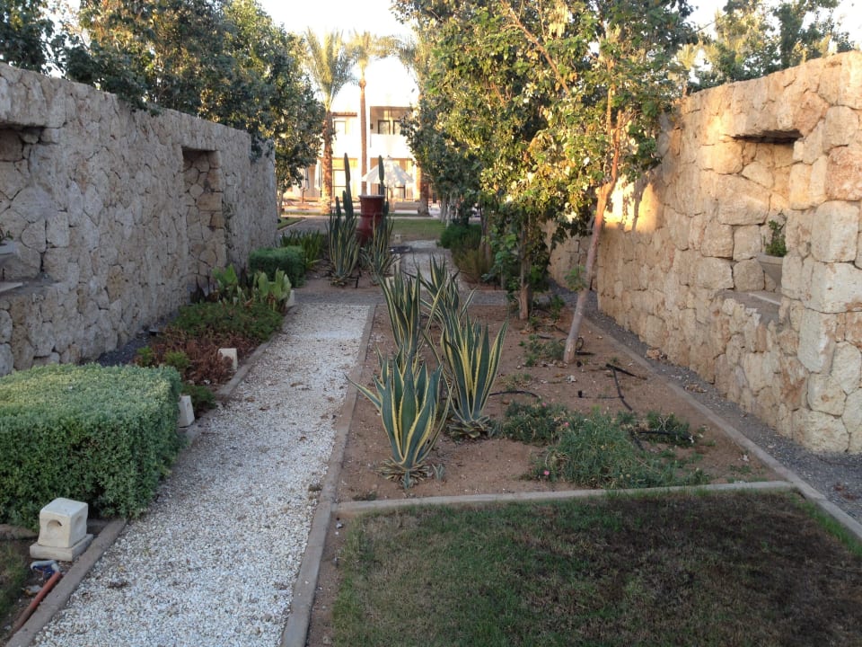 Kakteengarten am Barbecue Restaurant SENTIDO Reef Oasis Resort