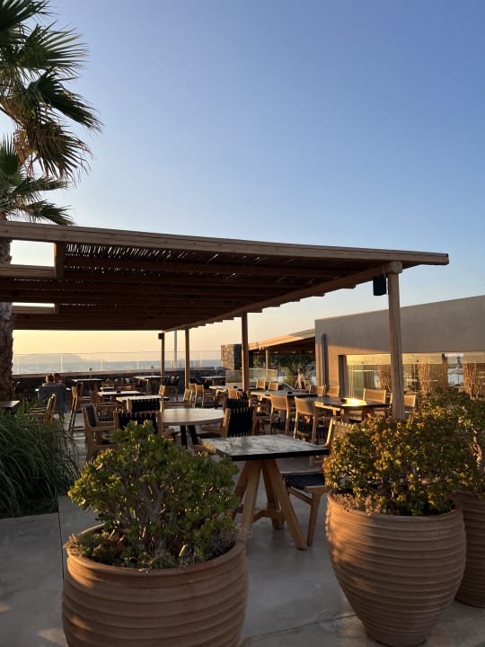 Gartenanlage Hotel Aphrodite Beach Club