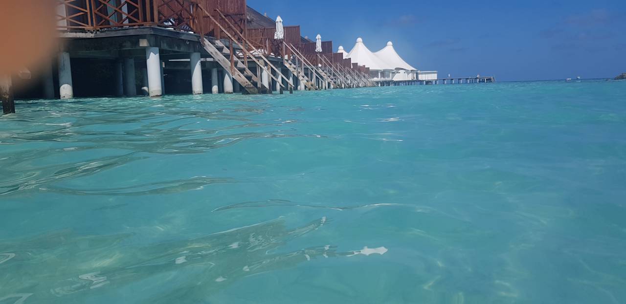 Zimmer Safari Island Maldives
