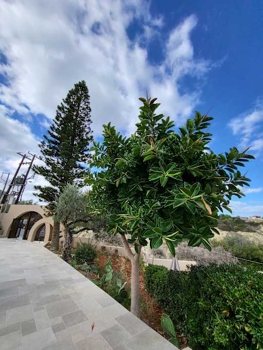 Sonstiges Momi Slow Living Hotel