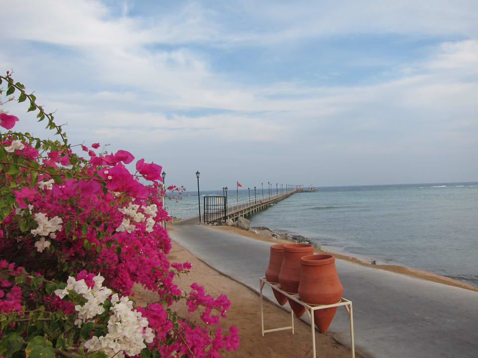 Nachmittags am Steg TUI MAGIC LIFE Kalawy