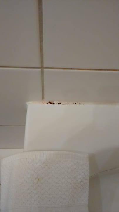 Schimmel in der Dusche Hotel Orange Wings Wiener Neustadt