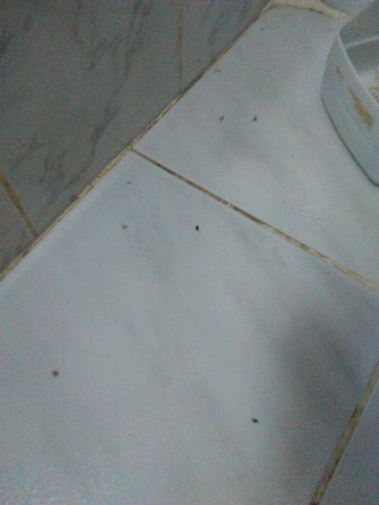 Giftun Azur Resort Giftun Azur Resort