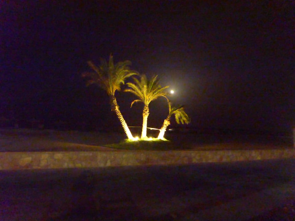 Garten Novotel Marsa Alam Beach Resort