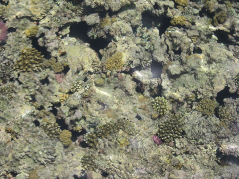 Hausriff Stella Beach Resort & Spa Makadi Bay