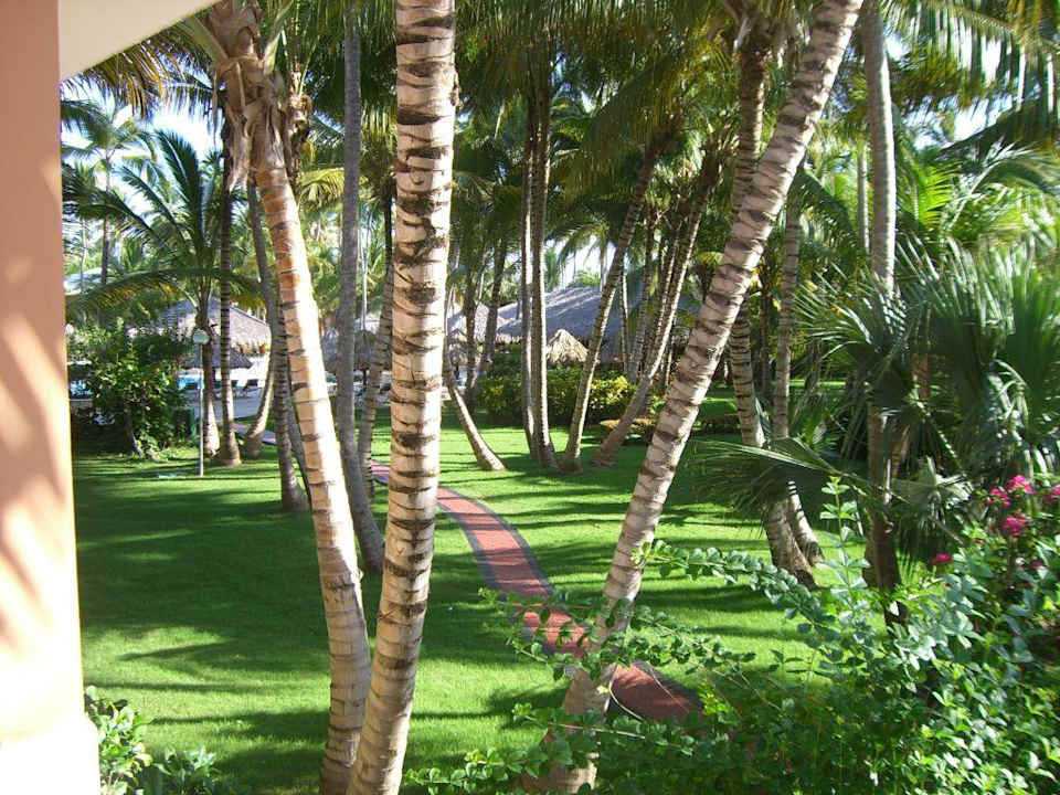 Blick vom Balkon in den Garten Richung Pool Hotel Grand Palladium Palace Resort, Spa & Casino