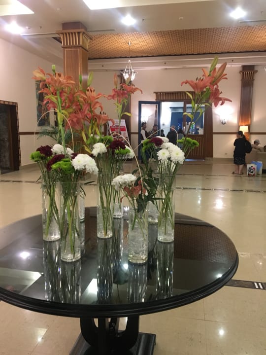 Lobby Stella Garden Resort & Spa, Makadi Bay