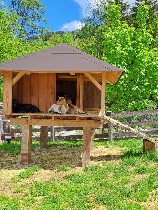 Gartenanlage Galtenberg - Family & Wellness Resort