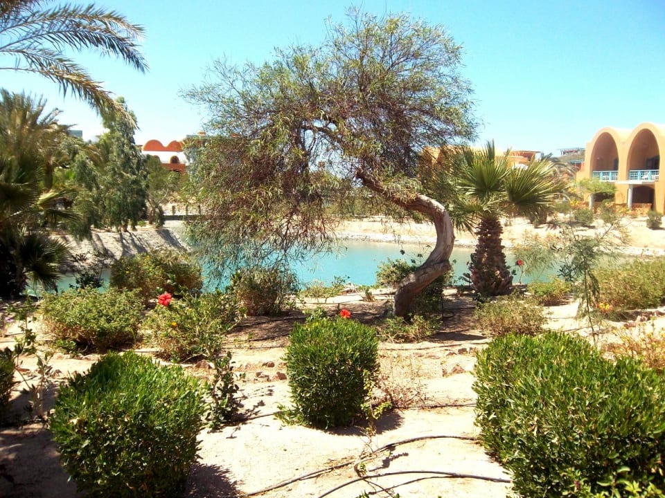Außenanlage des Hotels Sheraton Miramar Resort El Gouna