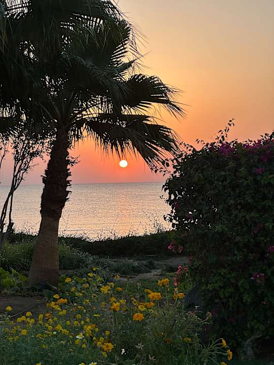 Ausblick Three Corners Equinox Beach Resort