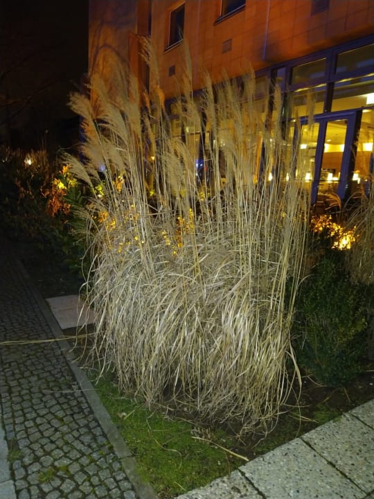 Außenansicht Essential by Dorint Berlin-Adlershof