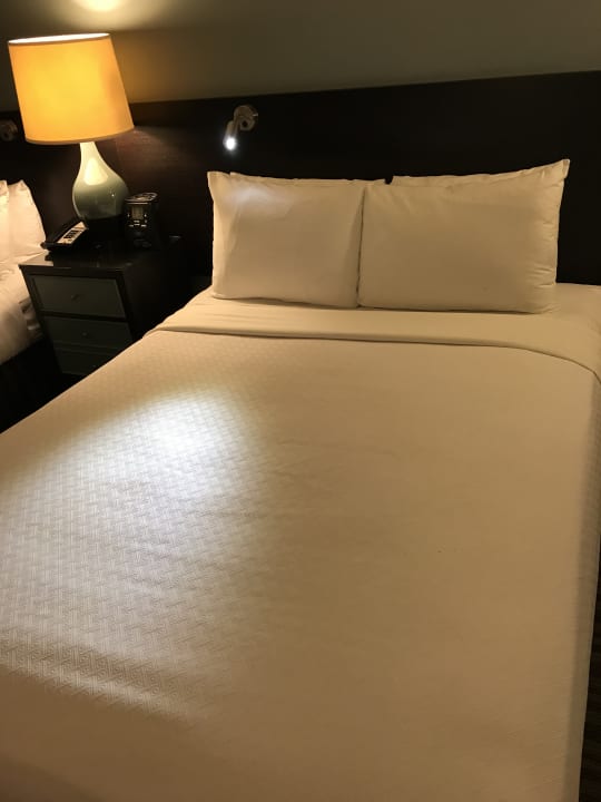 Zimmer Hotel Crowne Plaza Chicago O'Hare