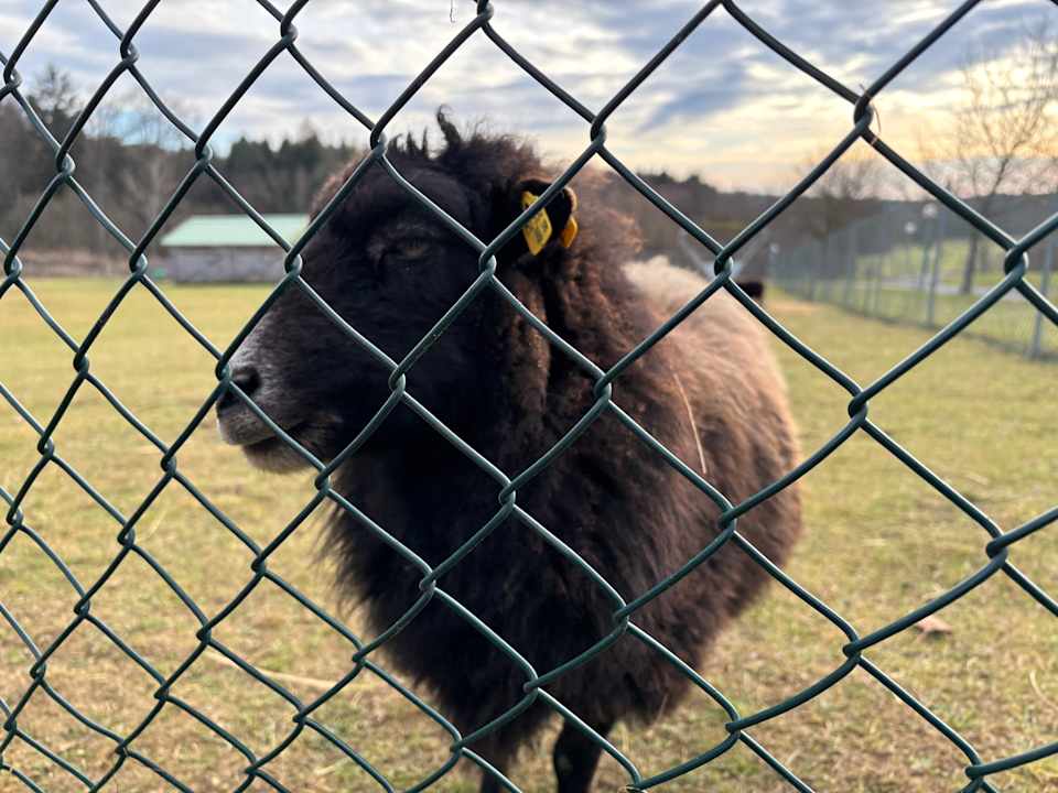 Gartenanlage Reiters Finest Family Hotel