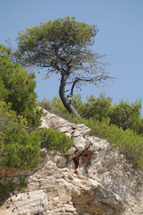 Hotel wykuty w skale Hotel Pine Bay Holiday Resort