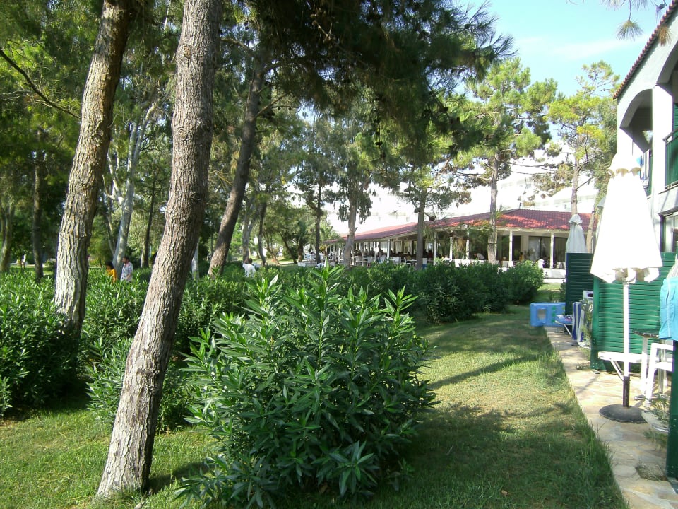 Blick von dr Terrasse Domes Aulūs Zante, Autograph Collection