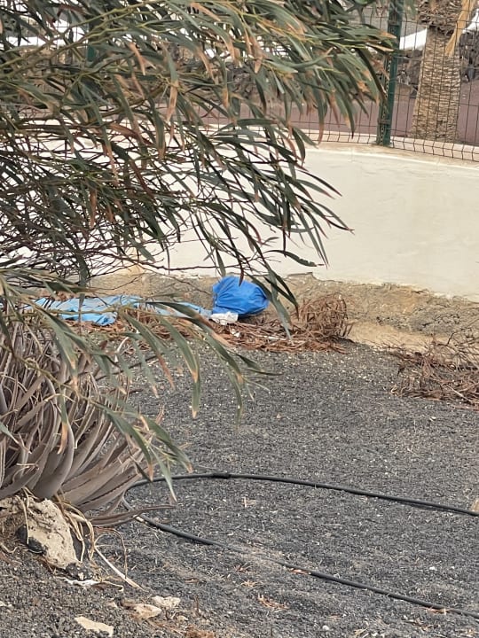 Gartenanlage Apartamentos LIVVO Morromar