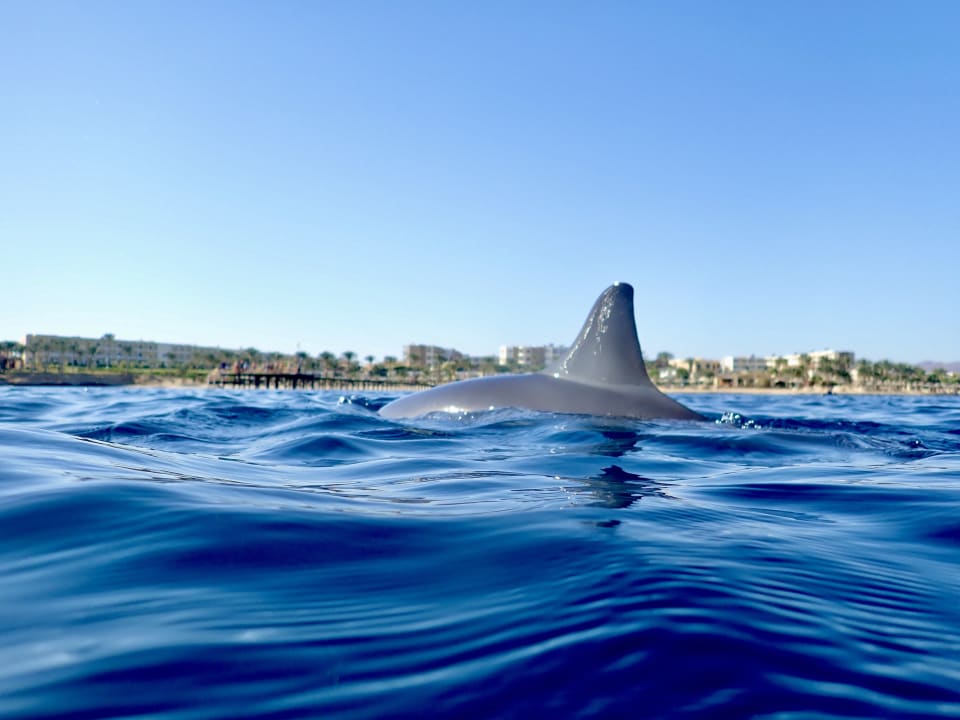 Sport & Freizeit Brayka Bay Resort