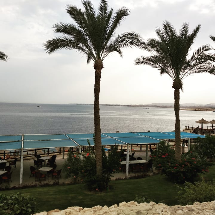 Außenansicht Sharm Plaza