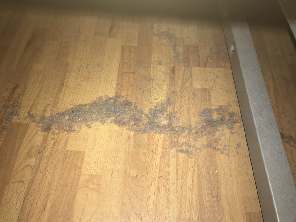 Zimmer Ferien-Domizil Visser