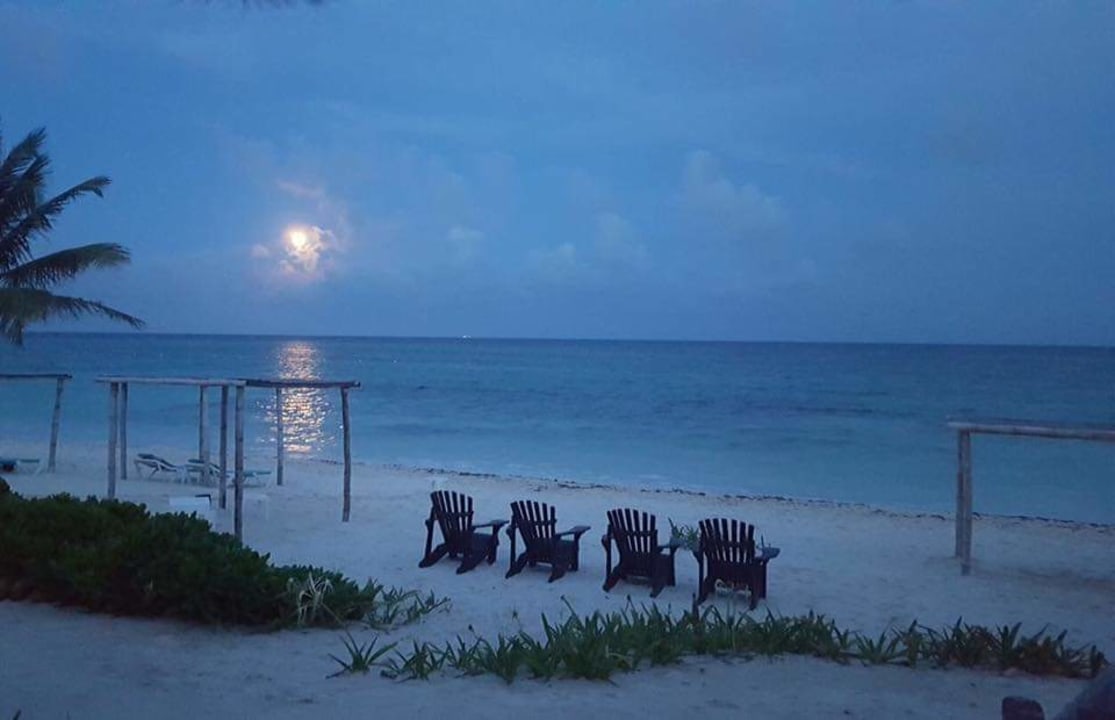 Strand Akumal Bay Beach & Wellness Resort