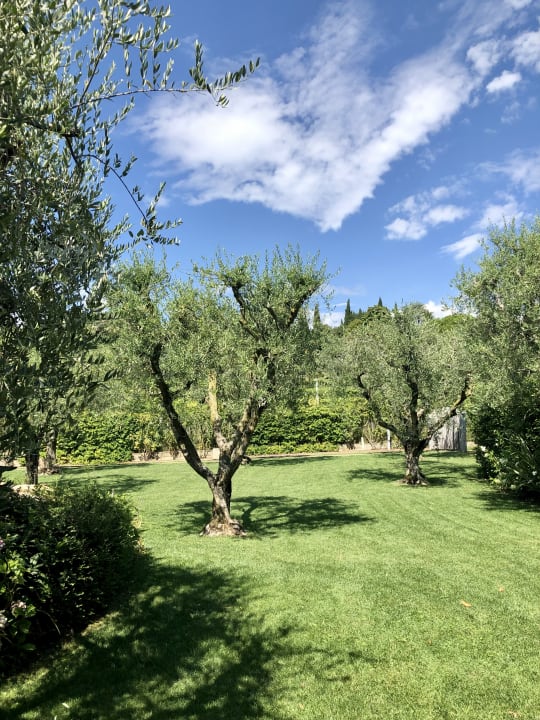 Gartenanlage San Colombano Suites