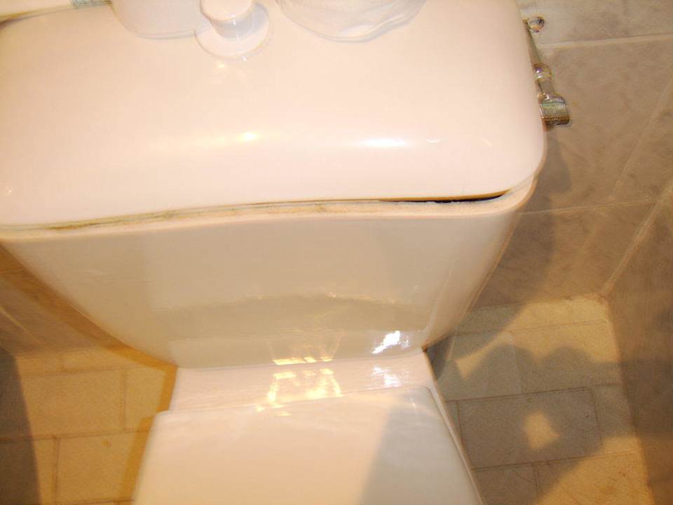 Toilette Hotel Amir Palace