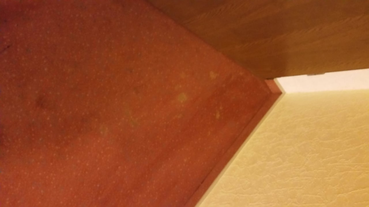 Teppichflecken, war hier Dach undicht? Hotel Lochmühle