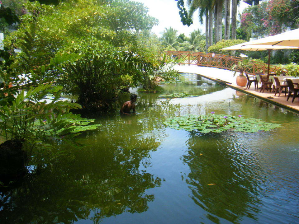 Fischteich Hotel Lanka Princess Ayurveda
