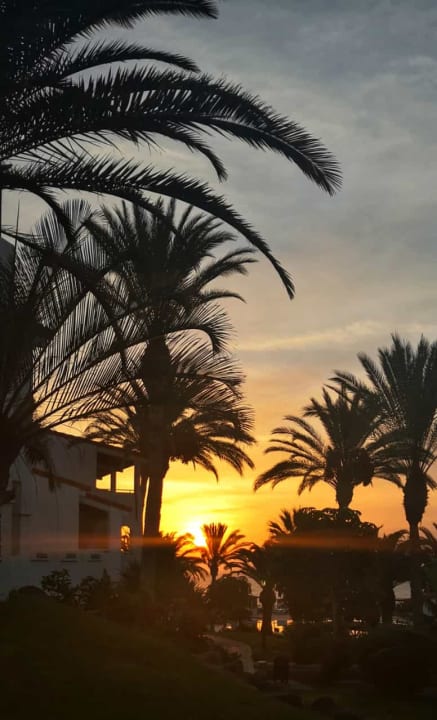 Ausblick TUI MAGIC LIFE Fuerteventura