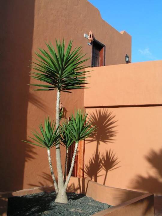 Treppe Hotel Oasis Royal