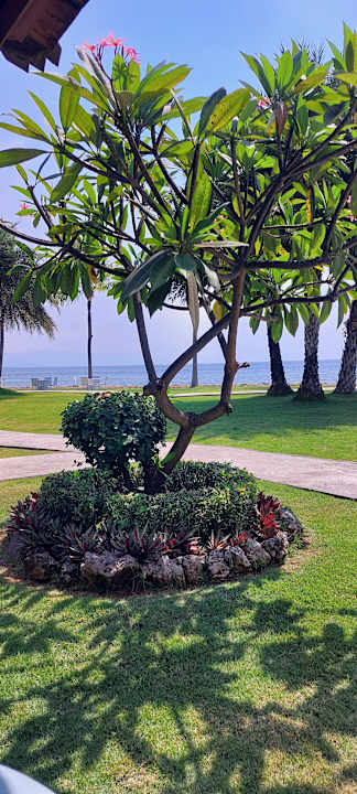 Gartenanlage Lovina Beach Club & Resort