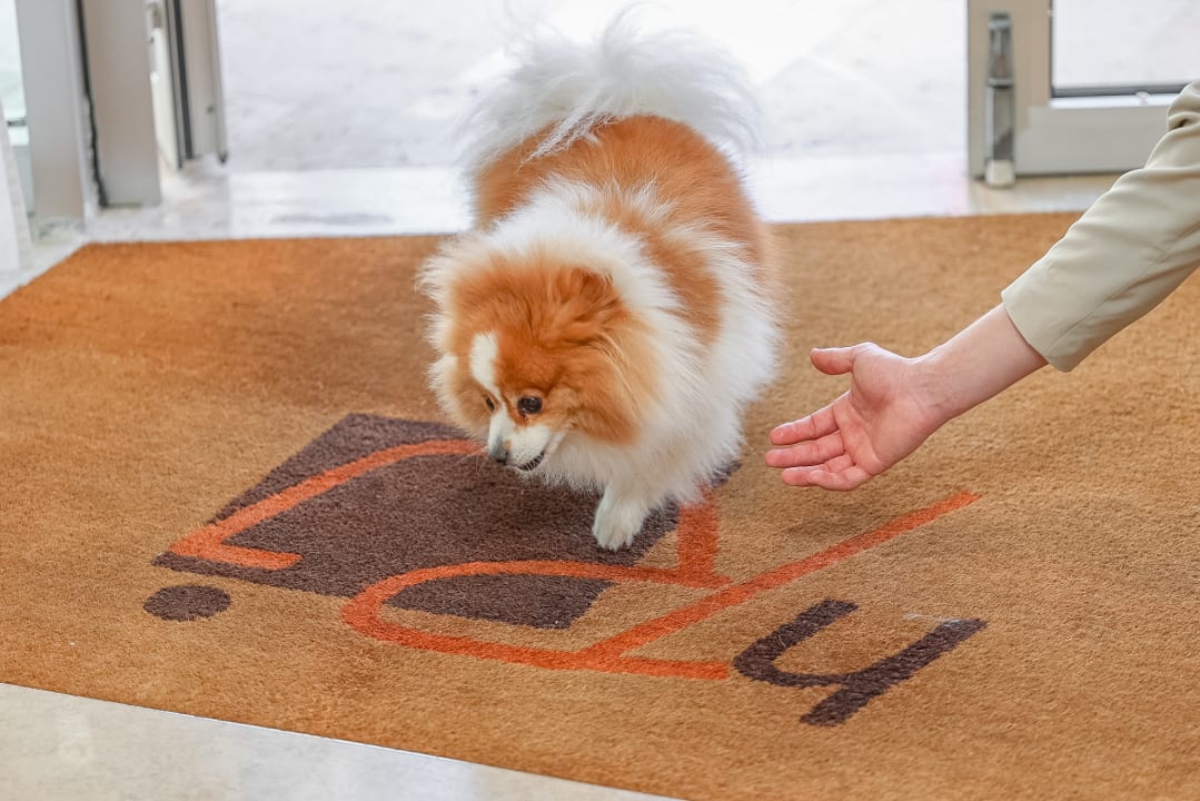 Sonstiges Hotel Rosanna