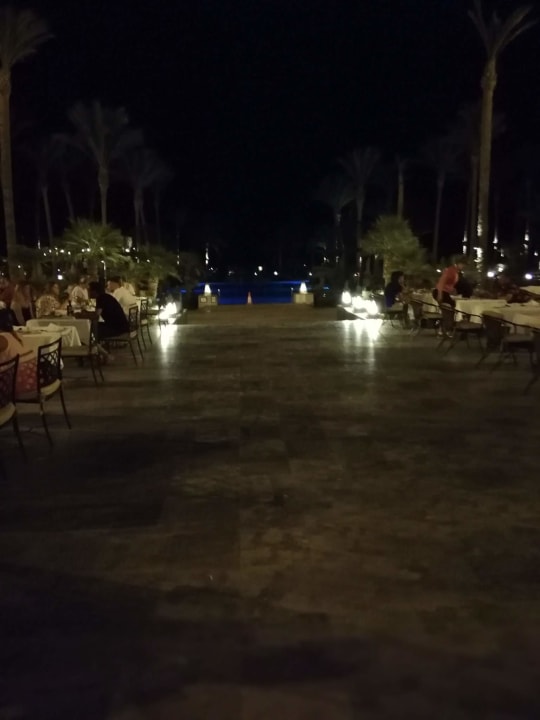 Gastro Pickalbatros Palace Hotel-Port Ghalib