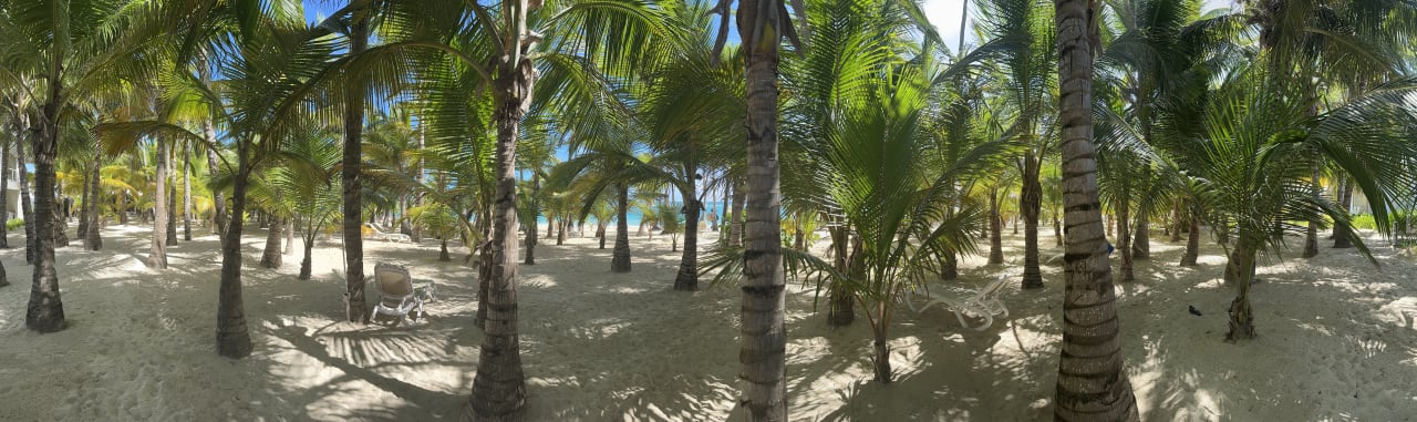 Strand Hotel Riu Palace Punta Cana